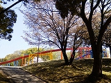 浦山公園